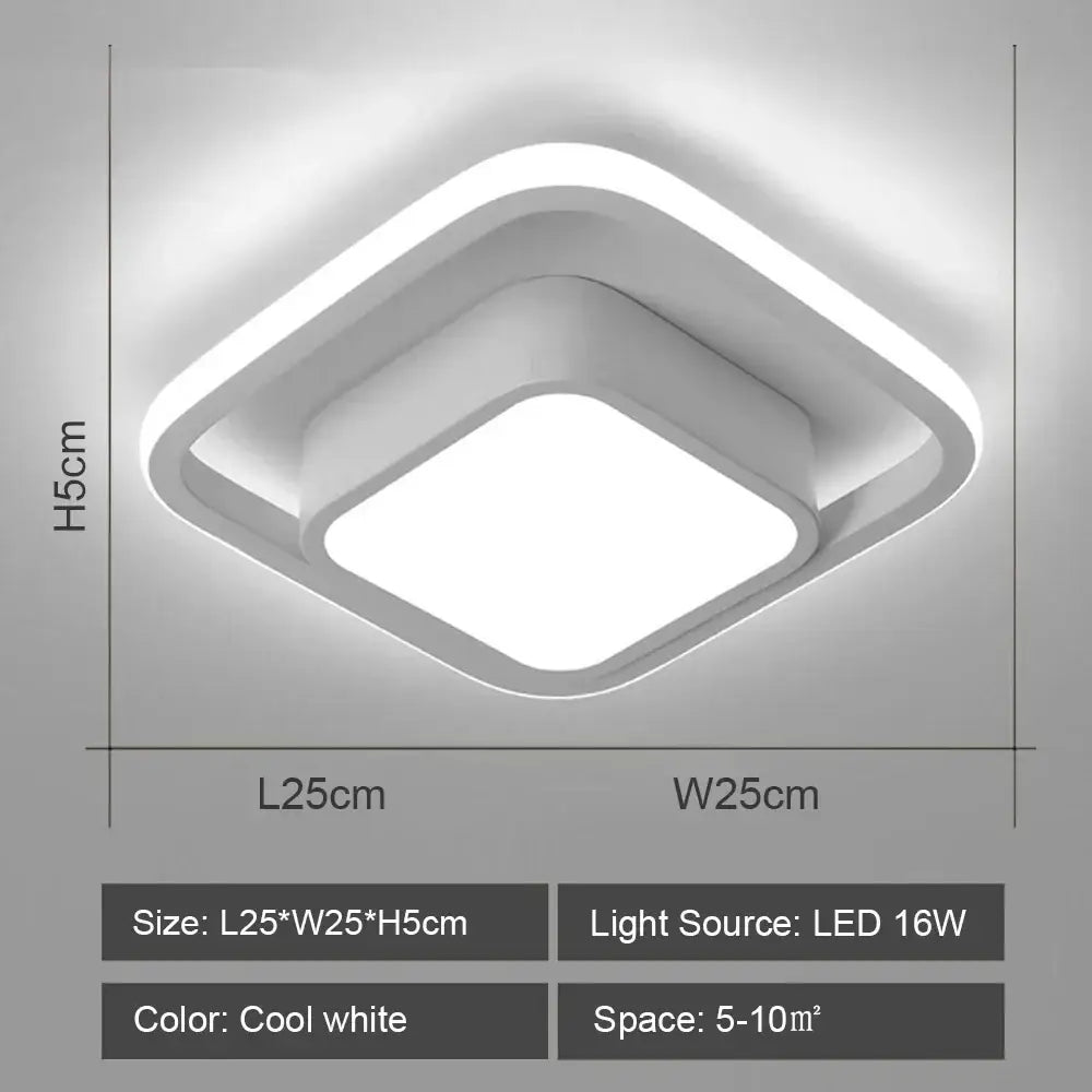 Black White LED Ceiling