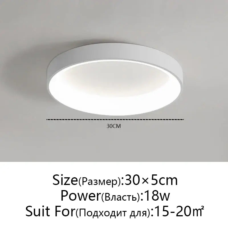 Gray Round LED Ceiling Light