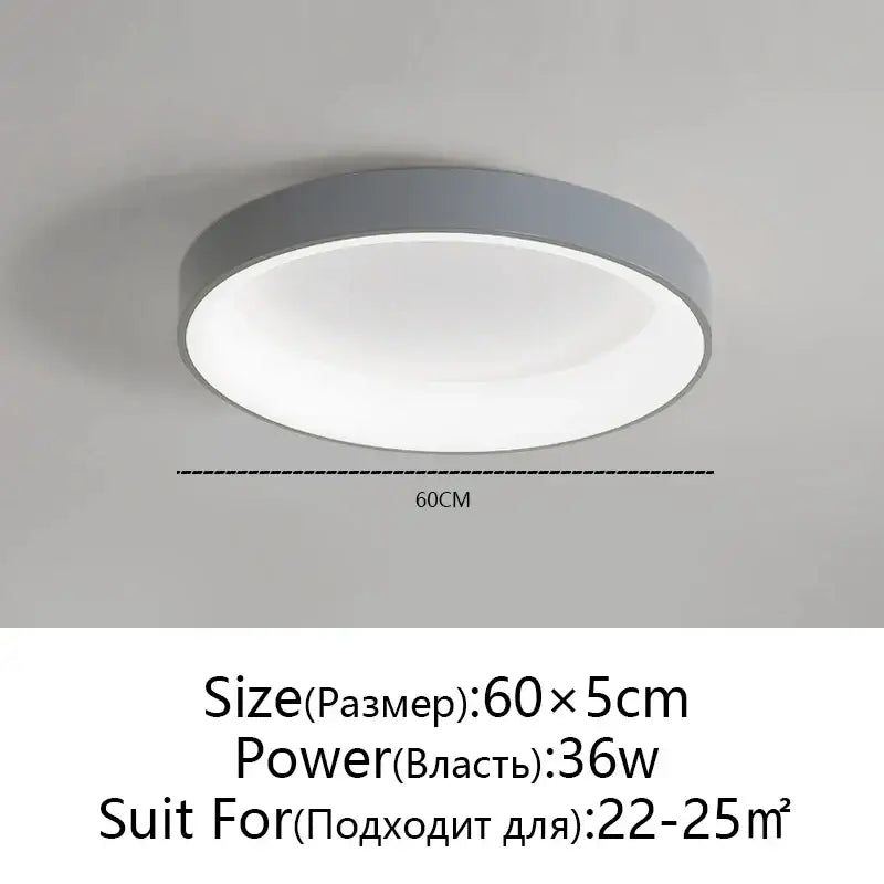 Gray Round LED Ceiling Light