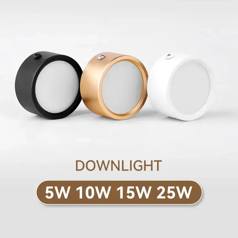 Adjustable LED Spot Light