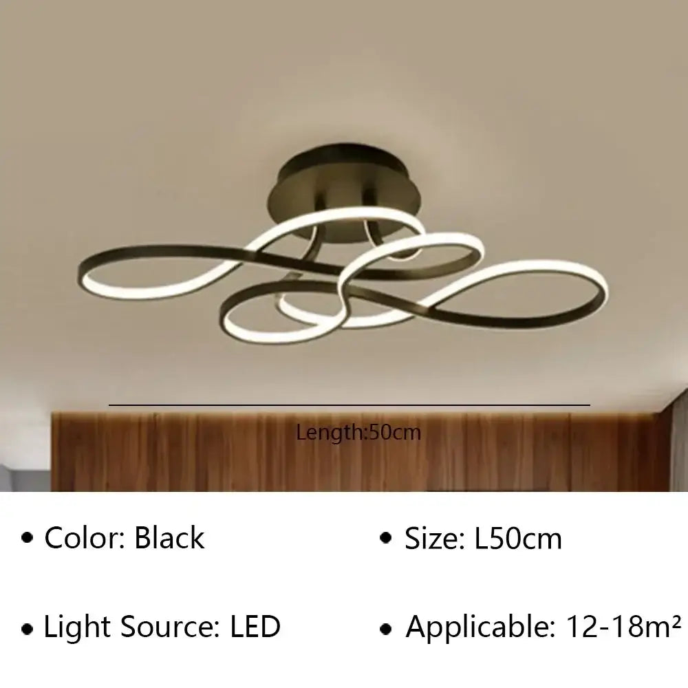 Black Loop Ceiling Lamp