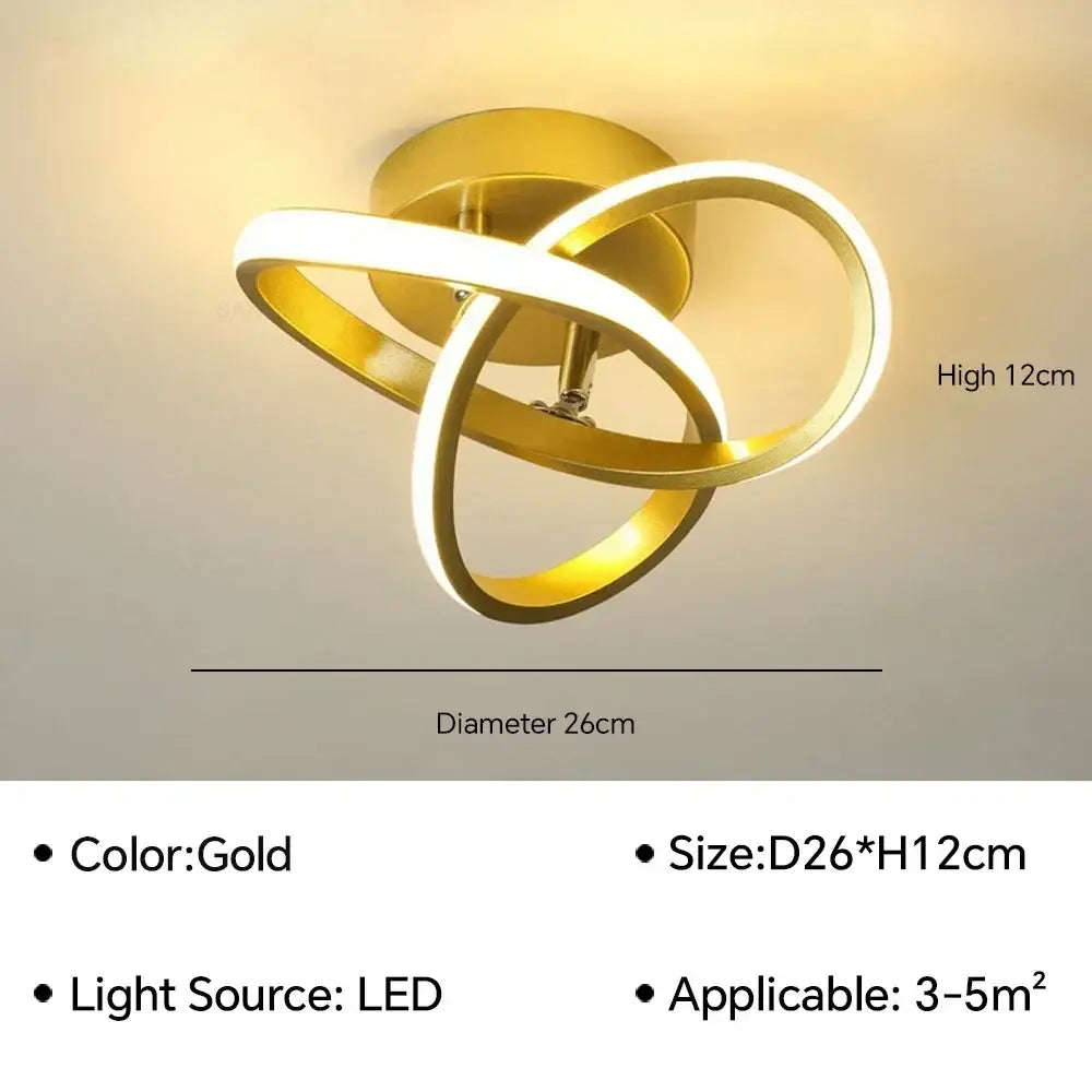 Black Loop Ceiling Lamp