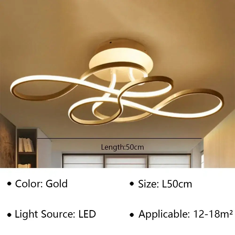 Black Loop Ceiling Lamp