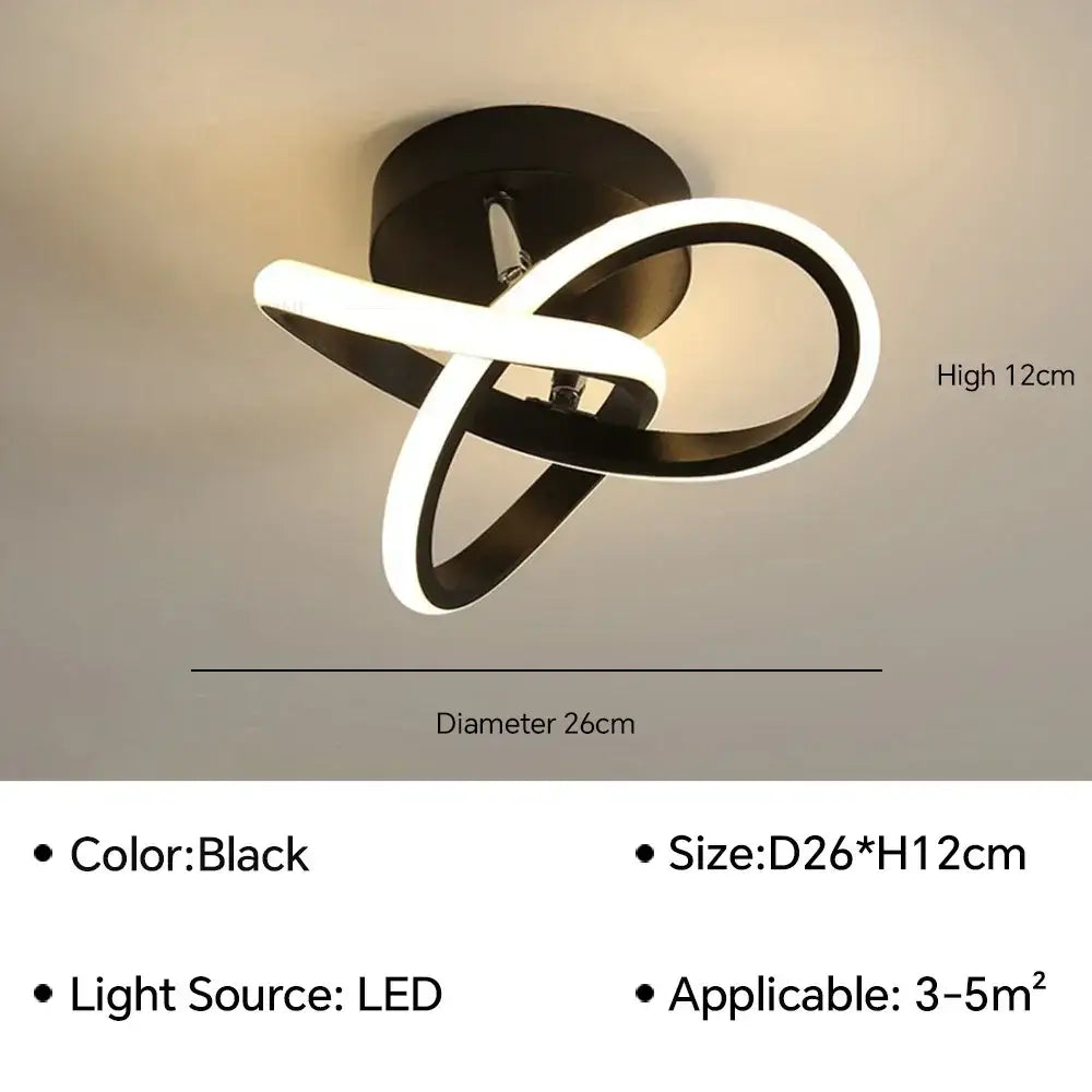 Black Loop Ceiling Lamp