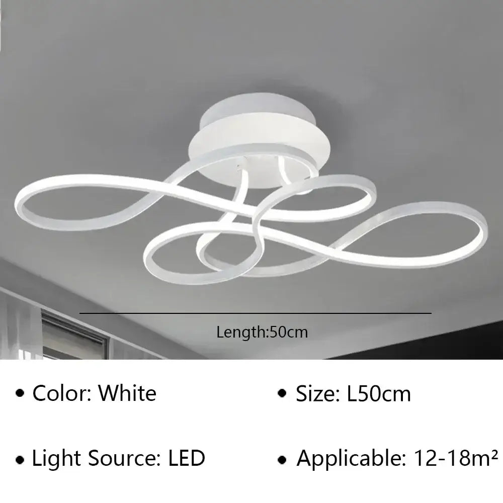Black Loop Ceiling Lamp