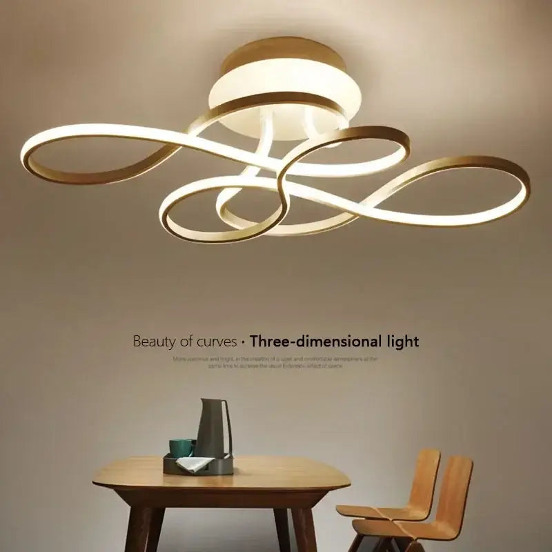 Black Loop Ceiling Lamp