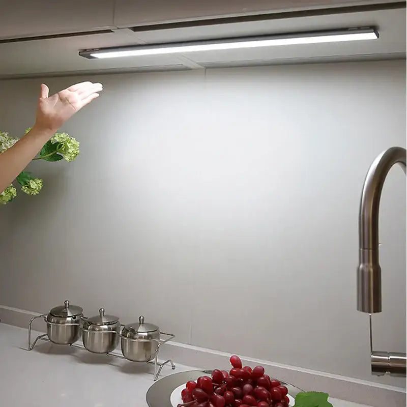 White LED Motion Light