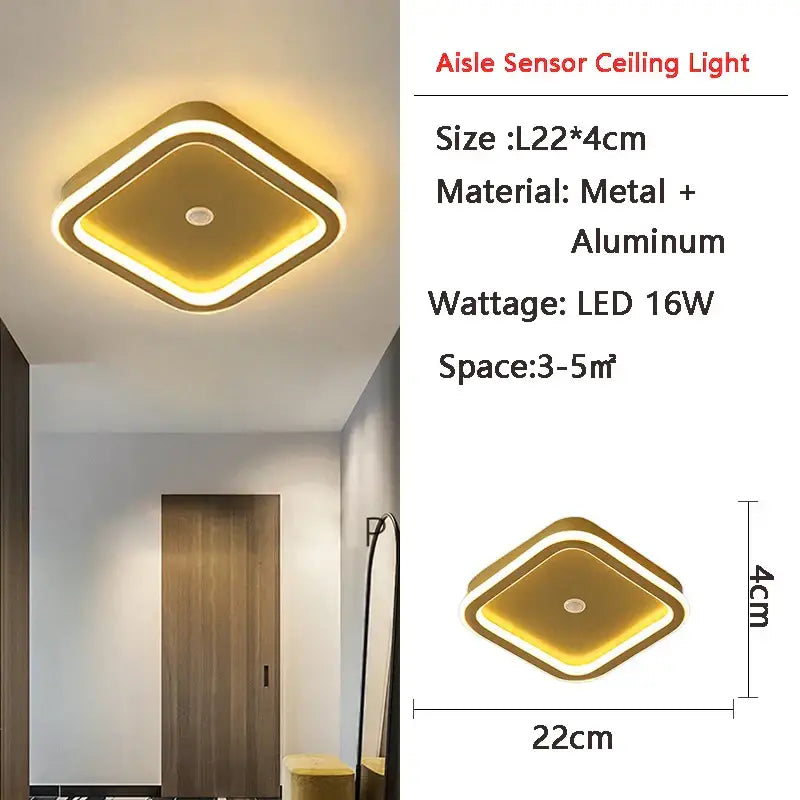 Black Motion Sensor Light