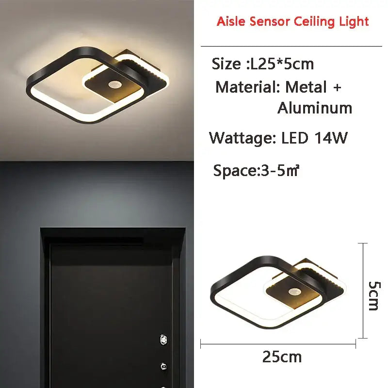 Black Motion Sensor Light