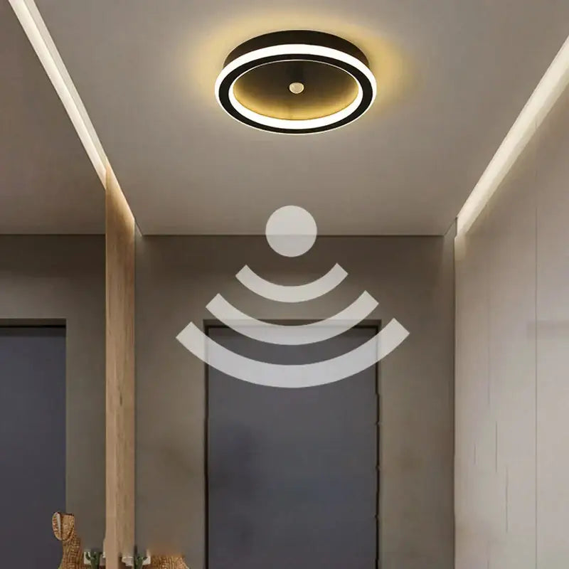 Black Motion Sensor Light