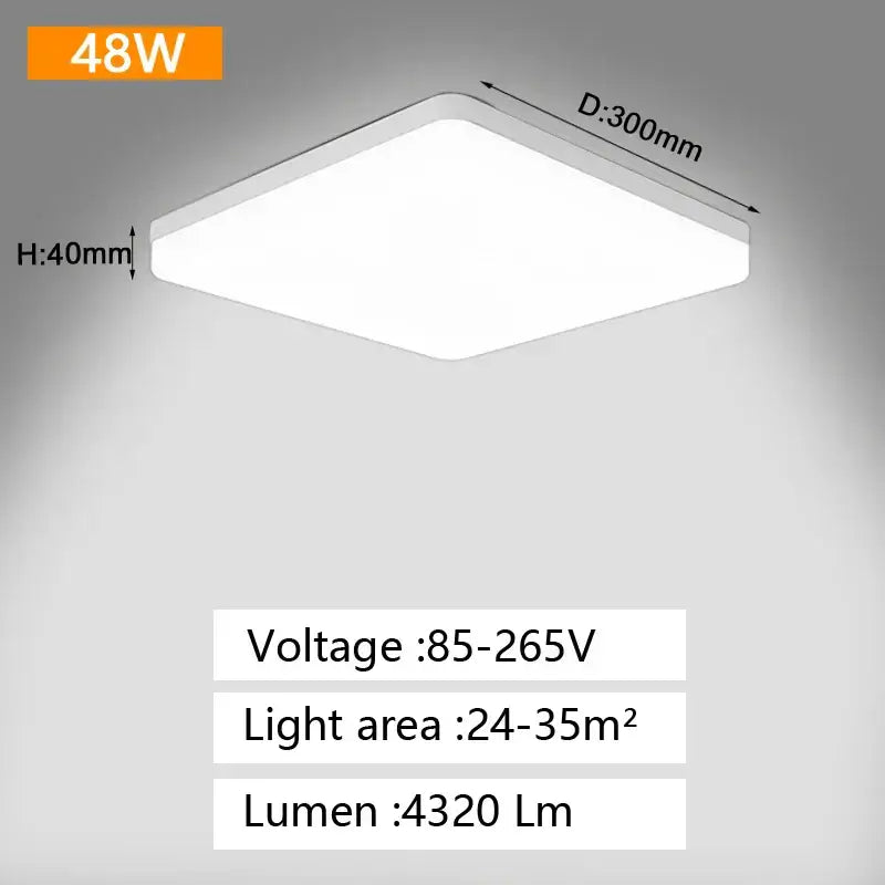White Panel Ceiling Light