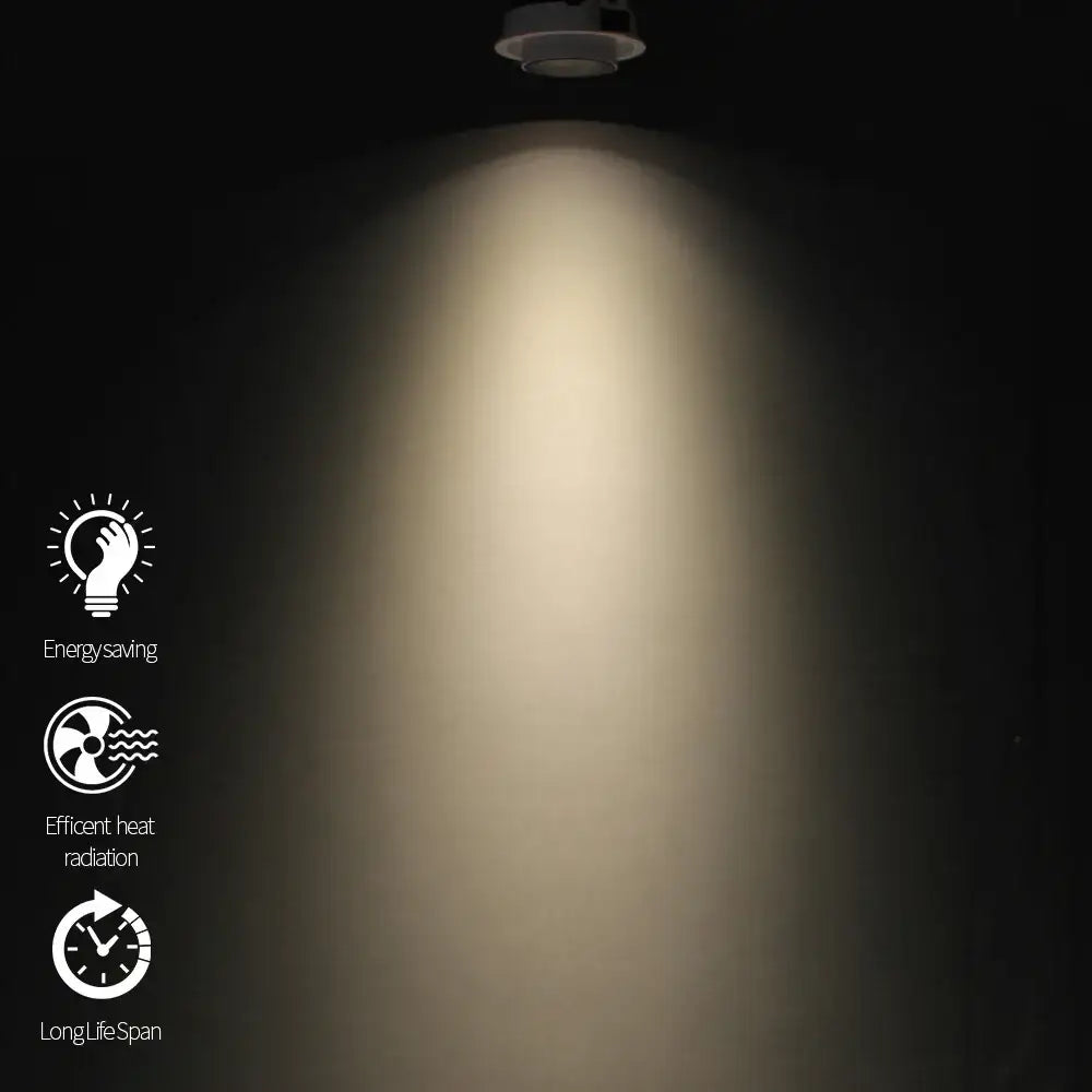 Black Transformer Downlight