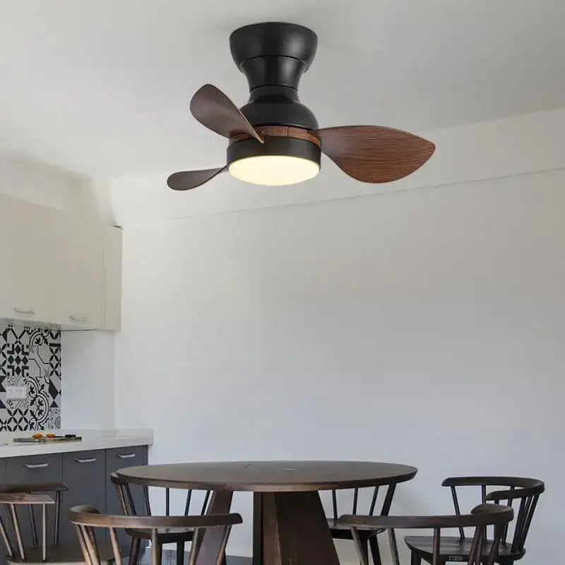 Low Profile Ceiling Fan