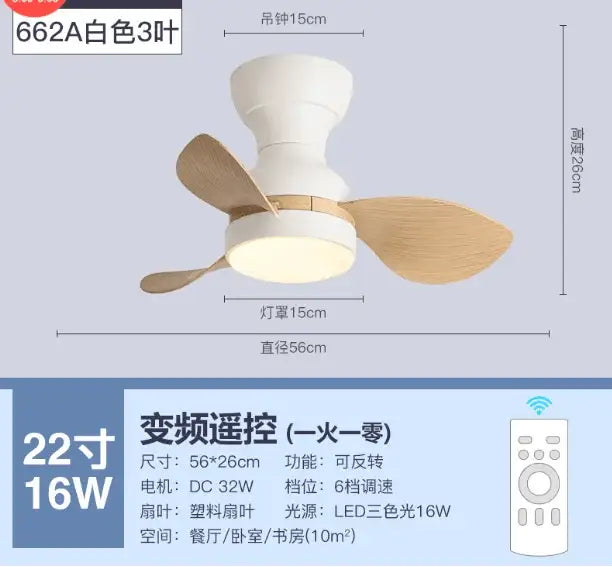 Low Profile Ceiling Fan
