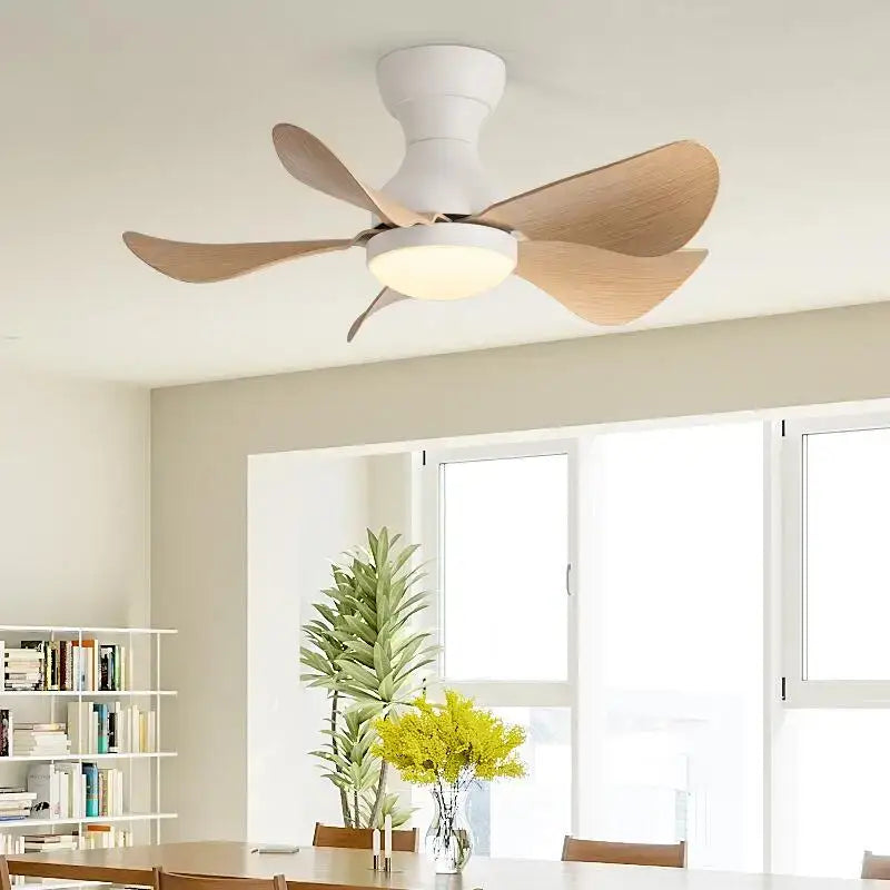 Low Profile Ceiling Fan