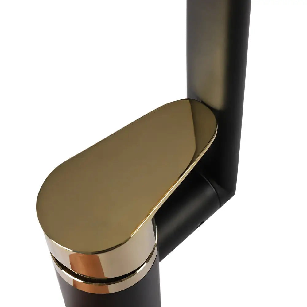 Black Gold Kitchen Faucet