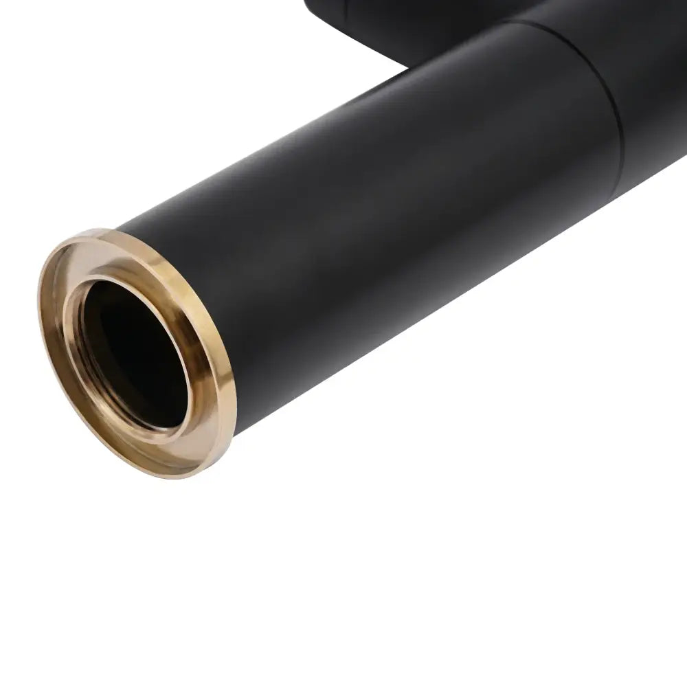 Black Gold Kitchen Faucet
