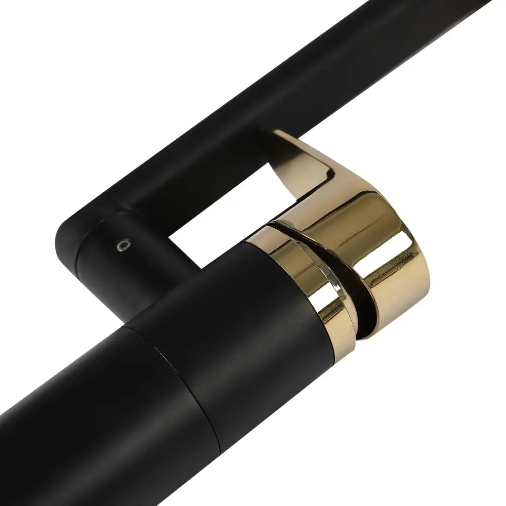 Black Gold Kitchen Faucet