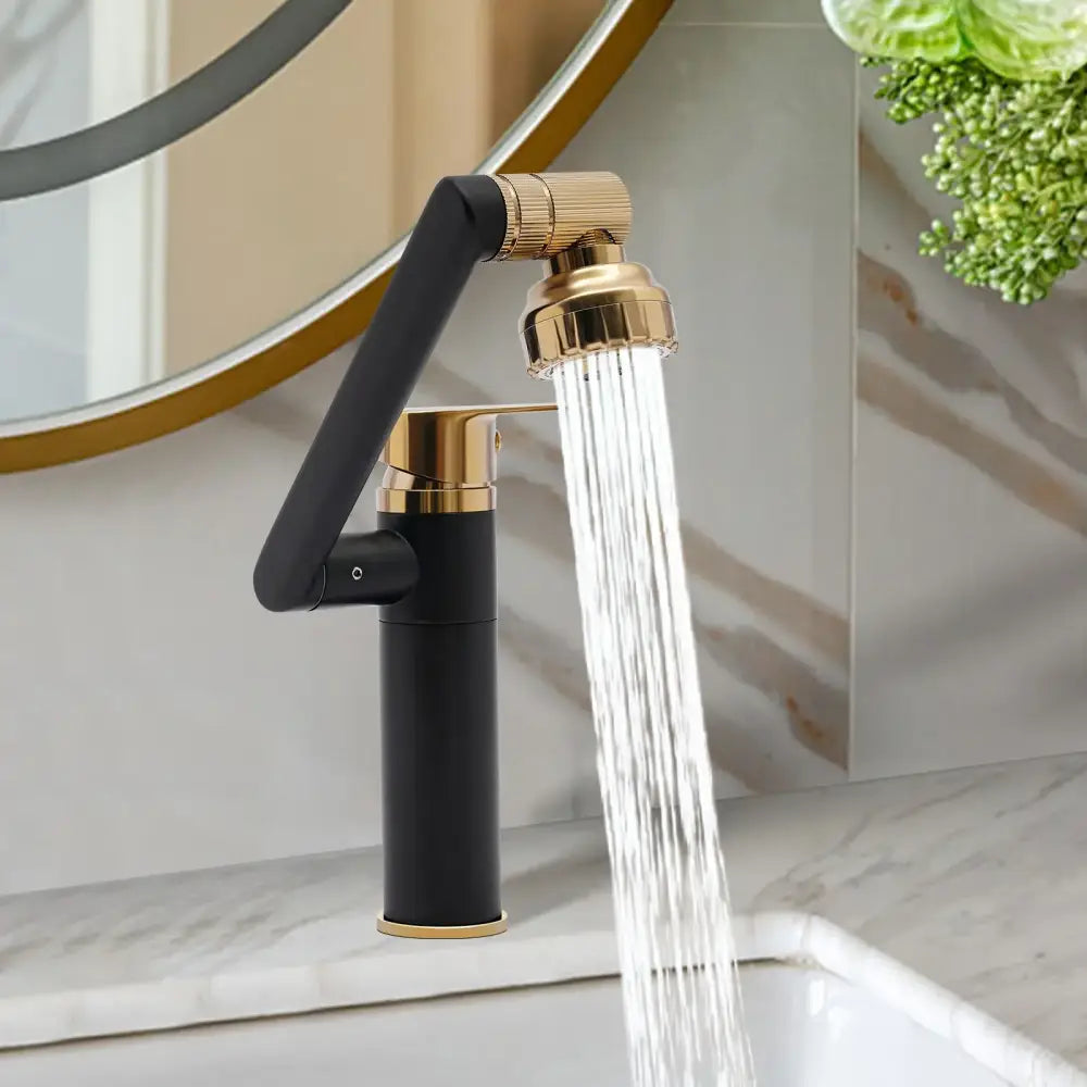 Black Gold Kitchen Faucet
