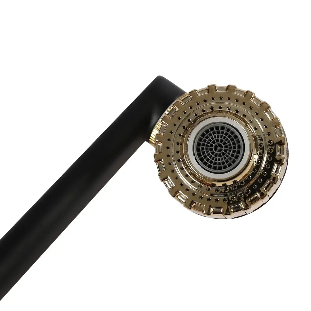 Black Gold Kitchen Faucet