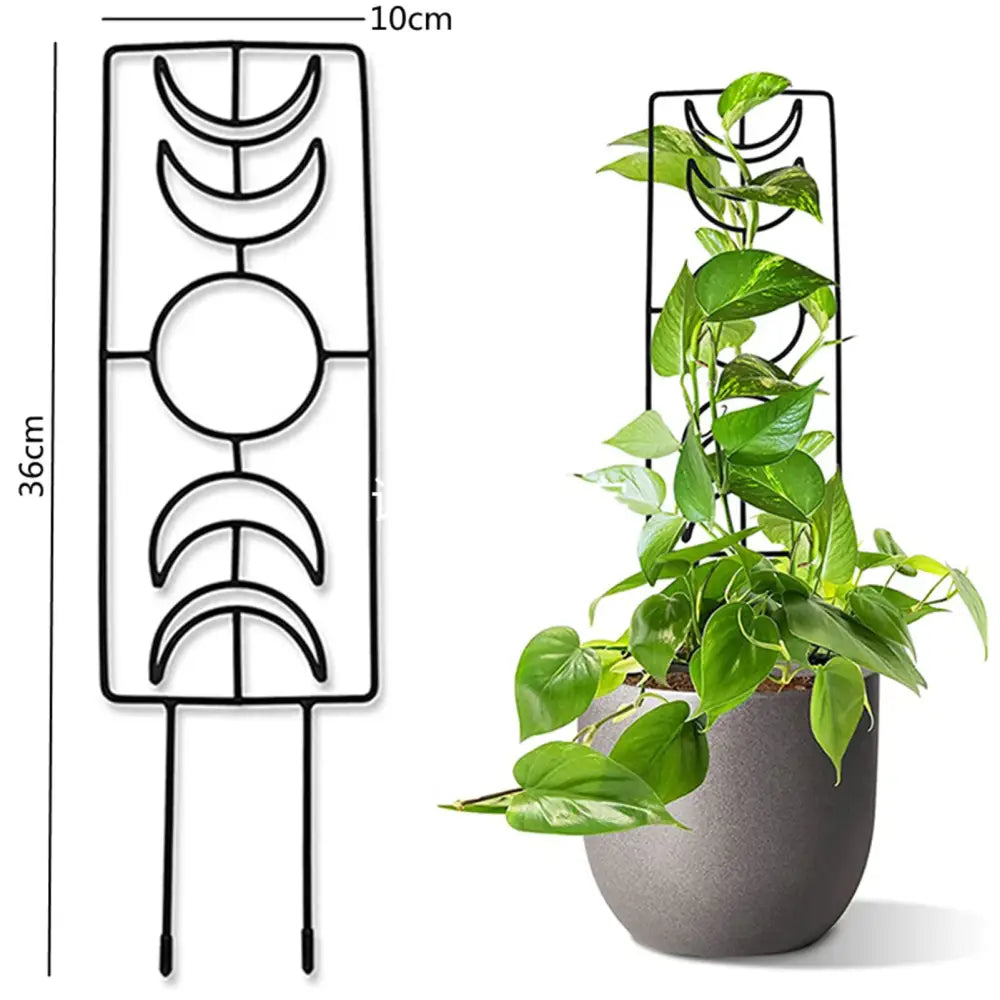 Black Iron Garden Trellis