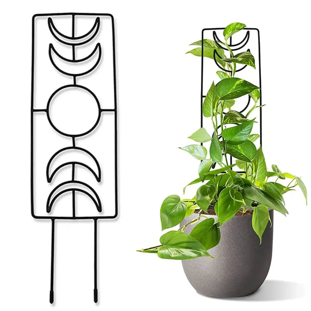 Black Iron Garden Trellis