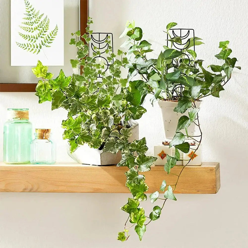 Black Iron Garden Trellis