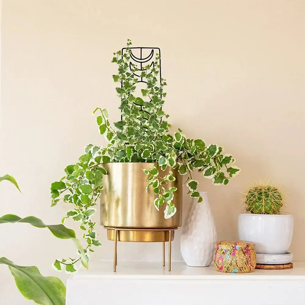 Black Iron Garden Trellis