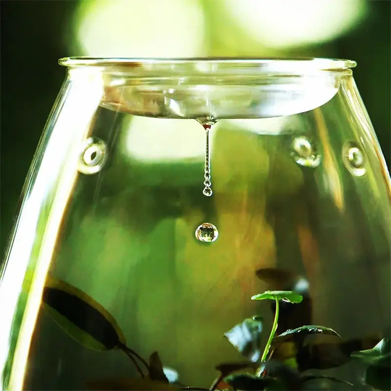 Green Glass Terrarium Vase