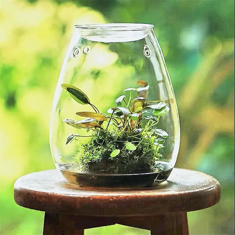 Green Glass Terrarium Vase