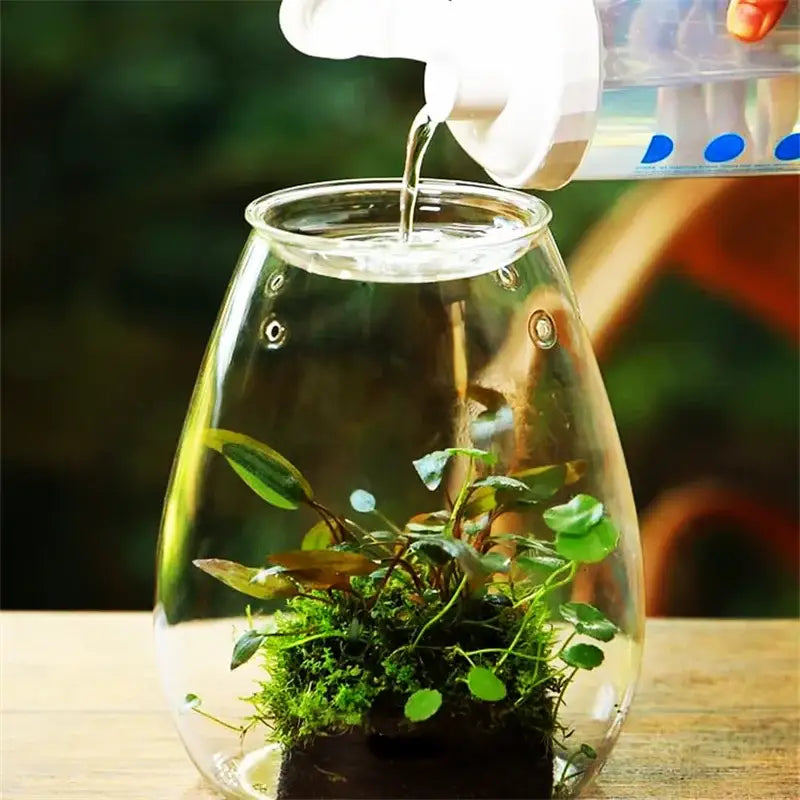 Green Glass Terrarium Vase