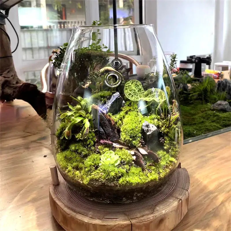 Green Glass Terrarium Vase