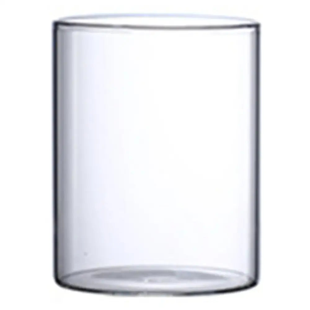 Glass Cylinder Hydroponic Vase
