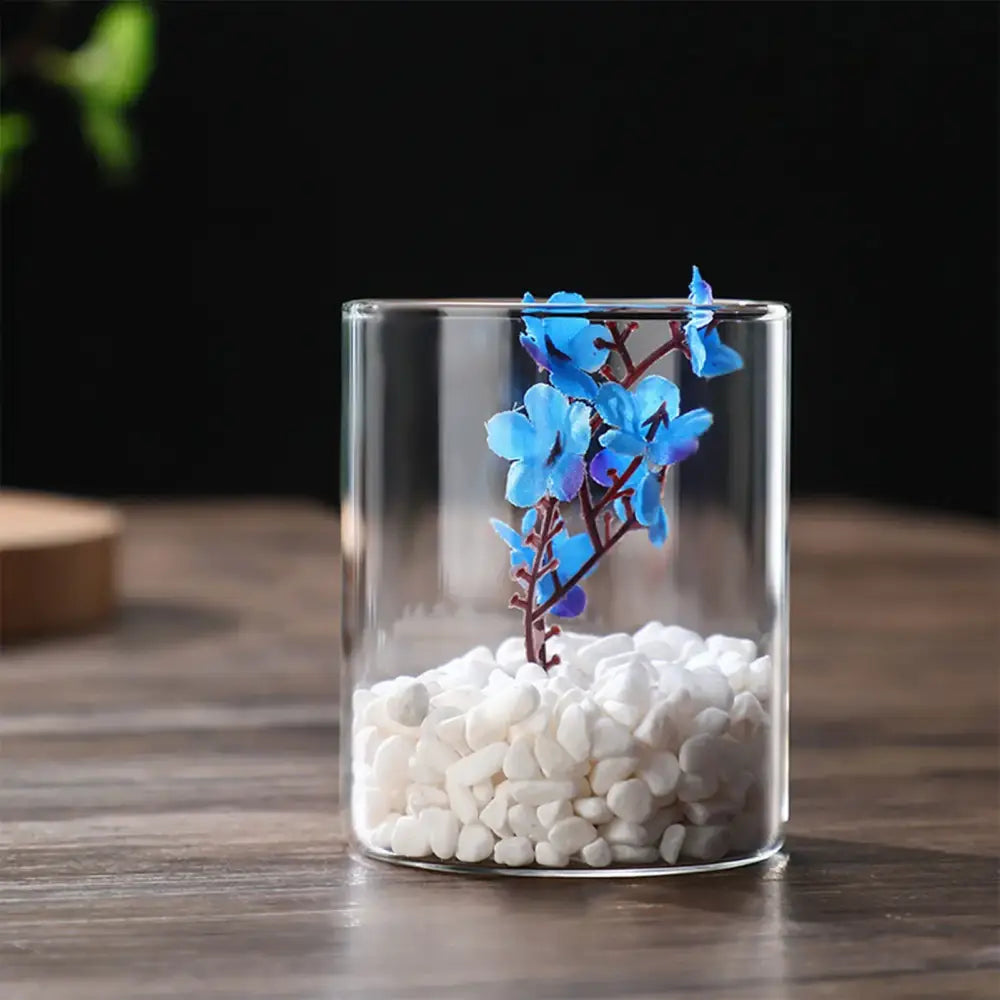 Glass Cylinder Hydroponic Vase