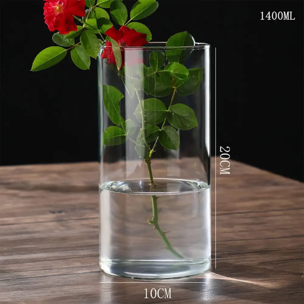 Glass Cylinder Hydroponic Vase