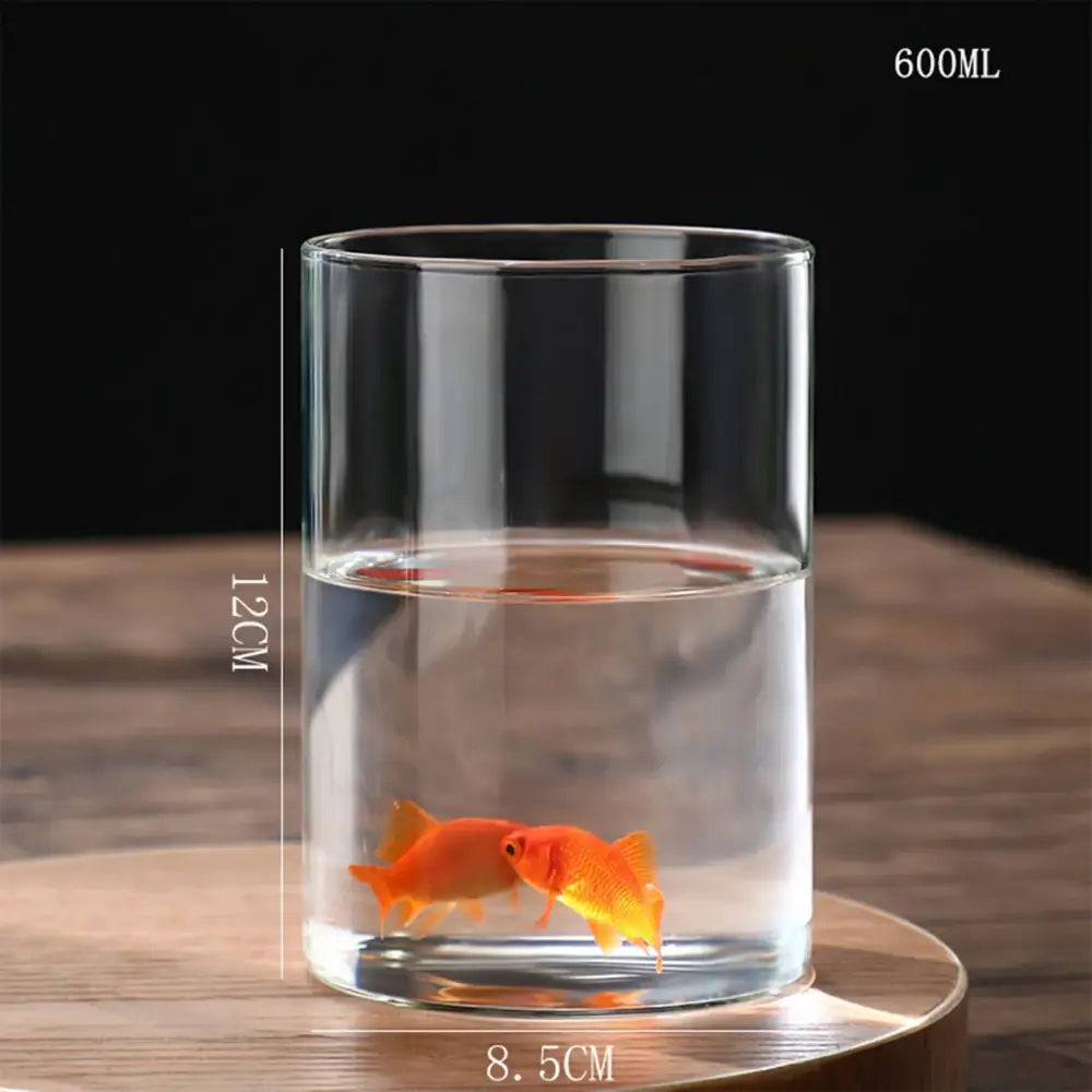 Glass Cylinder Hydroponic Vase