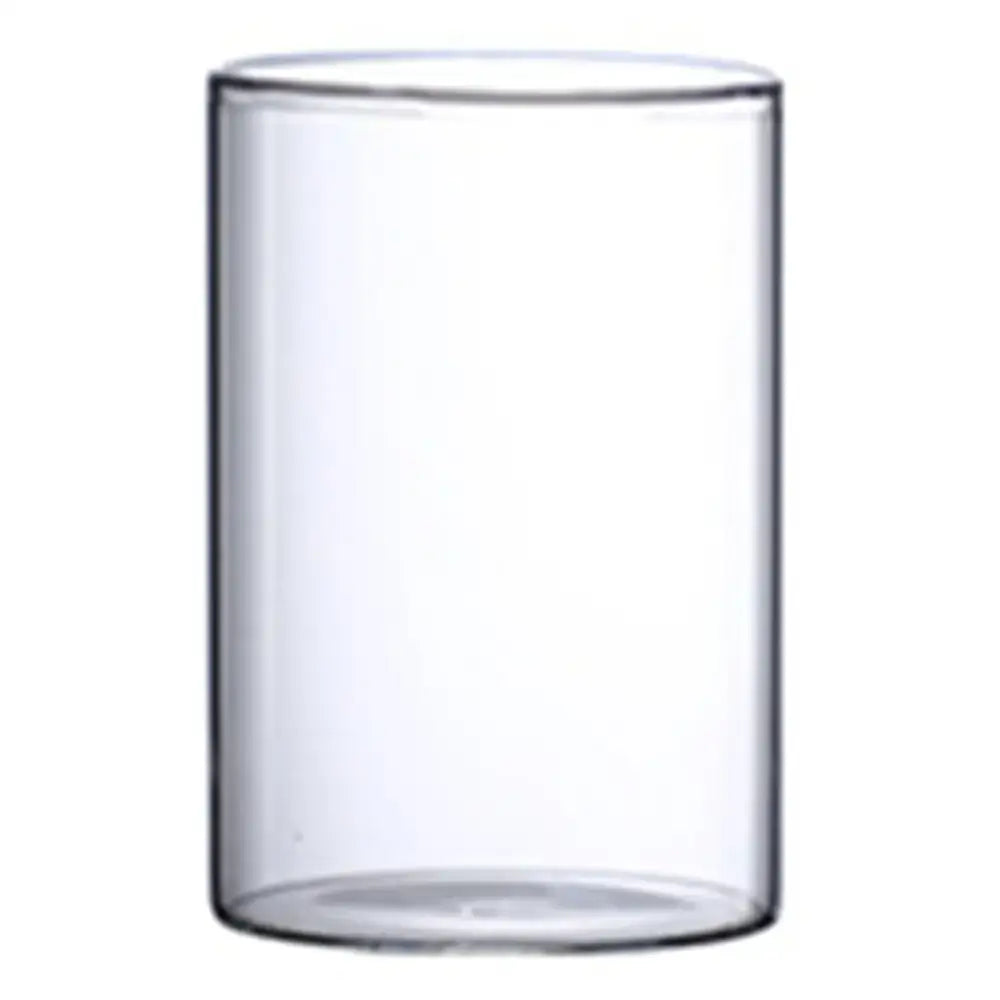 Glass Cylinder Hydroponic Vase