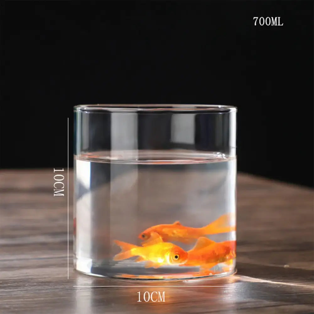 Glass Cylinder Hydroponic Vase