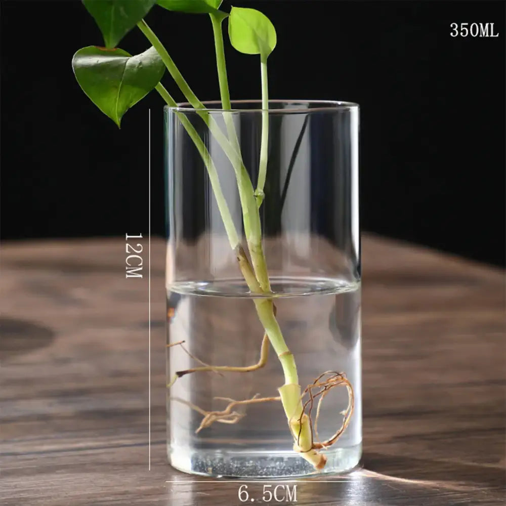 Glass Cylinder Hydroponic Vase