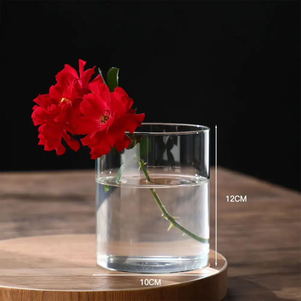 Glass Cylinder Hydroponic Vase