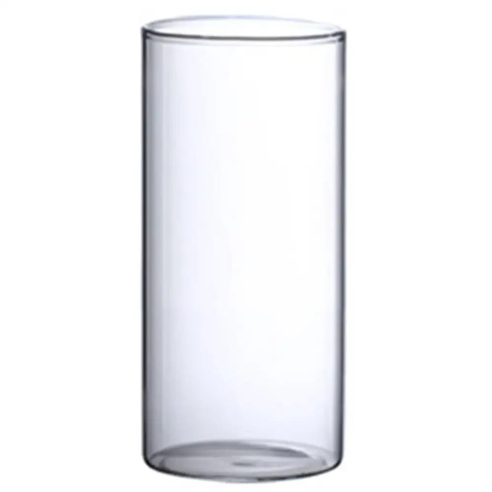 Glass Cylinder Hydroponic Vase