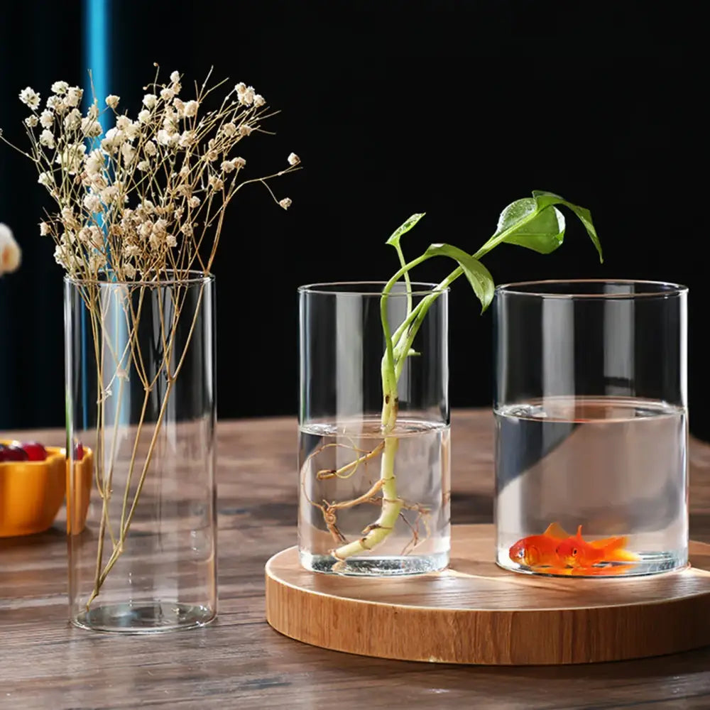 Glass Cylinder Hydroponic Vase