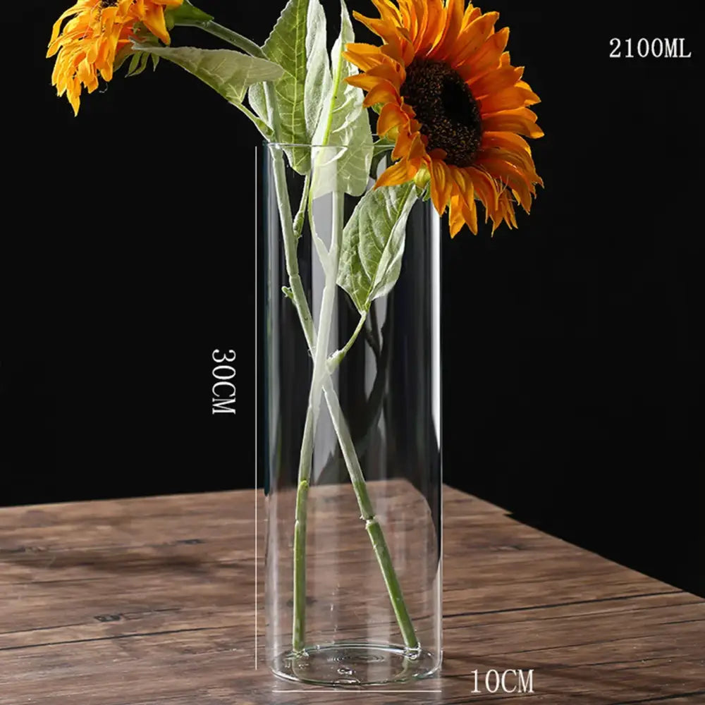 Glass Cylinder Hydroponic Vase