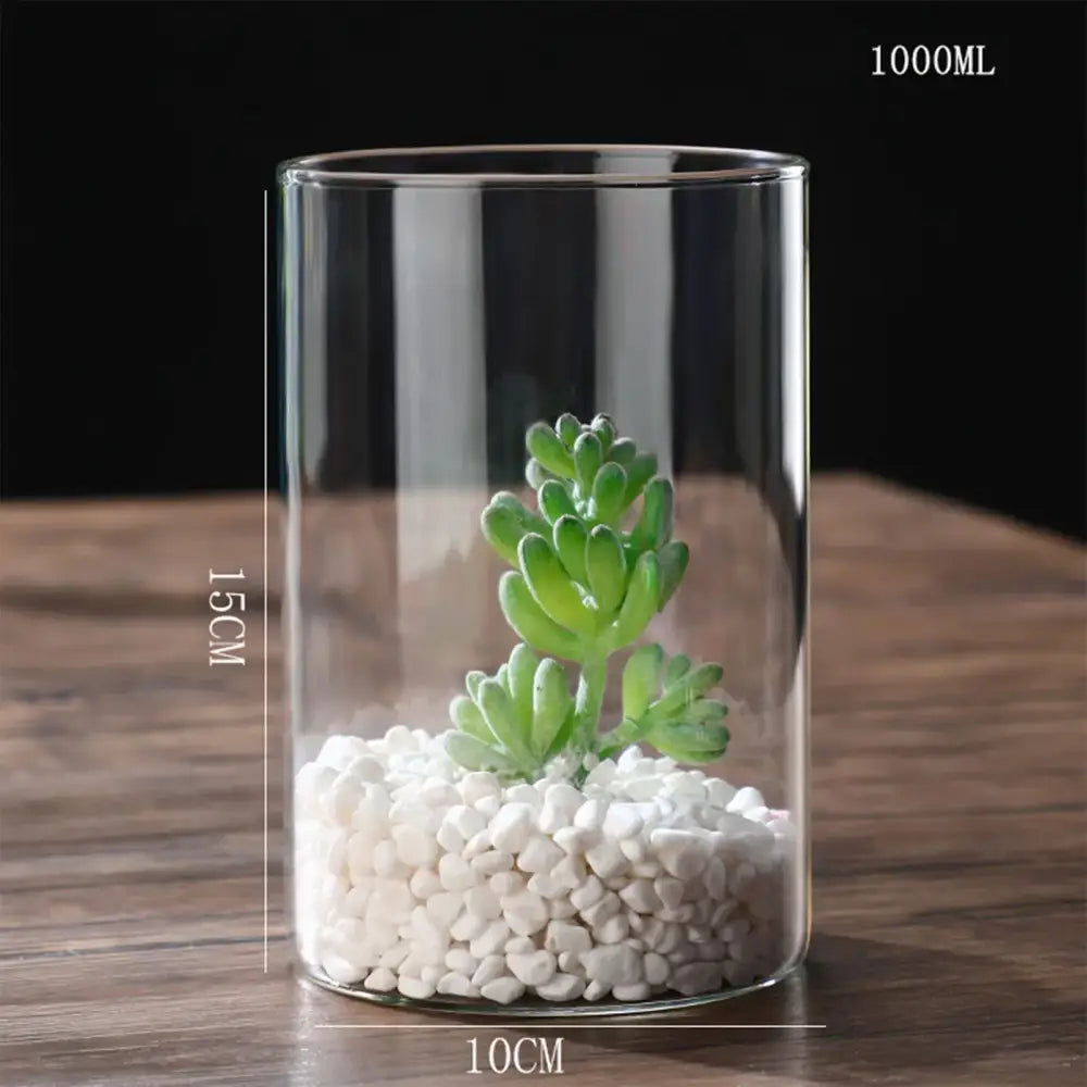 Glass Cylinder Hydroponic Vase
