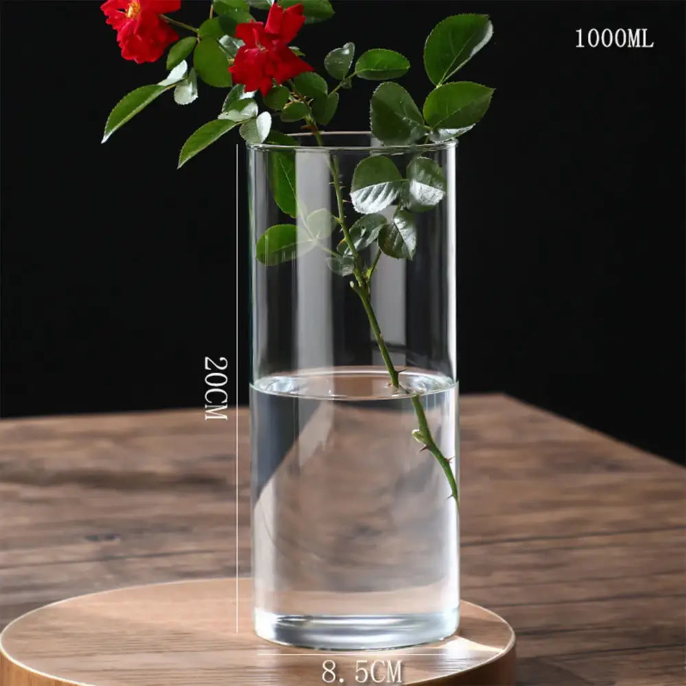 Glass Cylinder Hydroponic Vase