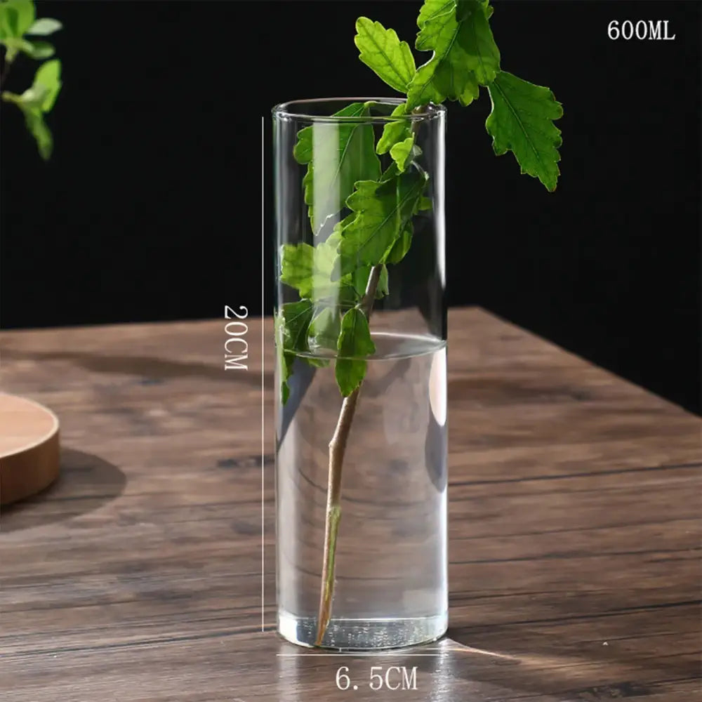 Glass Cylinder Hydroponic Vase