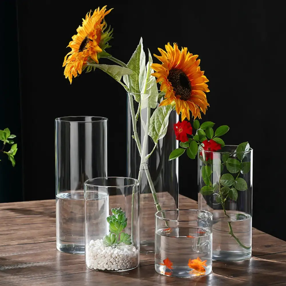 Glass Cylinder Hydroponic Vase