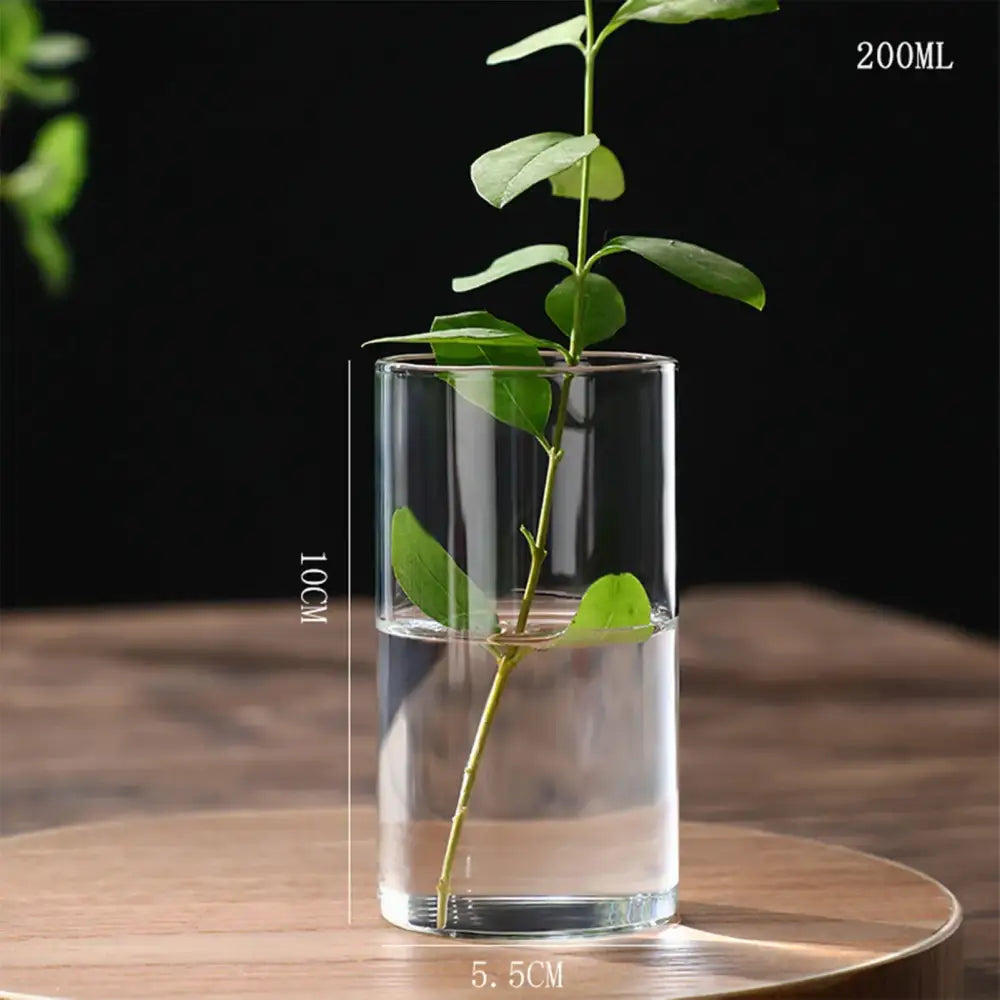 Glass Cylinder Hydroponic Vase