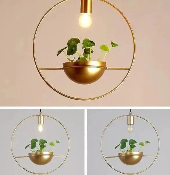 Gold Planter Pendant Light