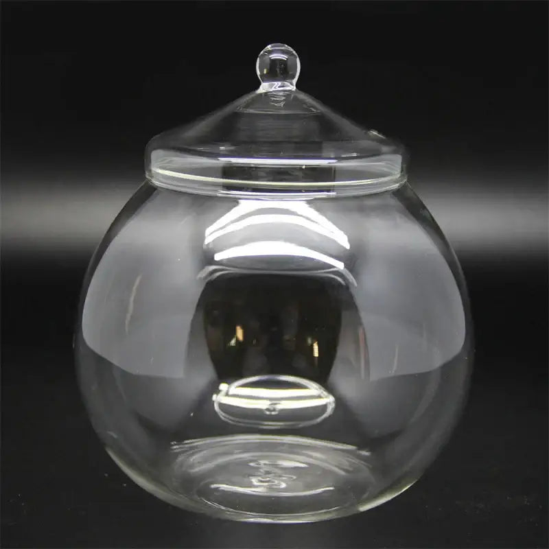 Glass Moss Ball Terrarium